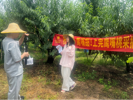 “东源电商”产地直播宣传 助农实现增收（2025年第19期专报）