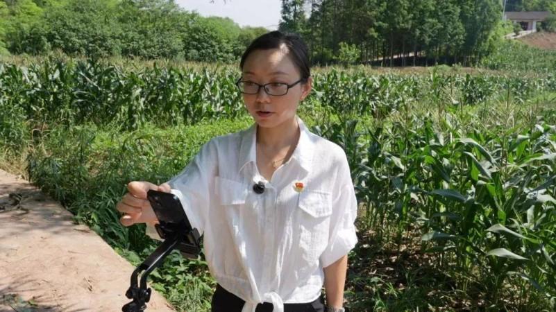 乐山市五通桥区蔡金镇：甜糯玉米搭上“云端快车” 村干部直播带货助农增收