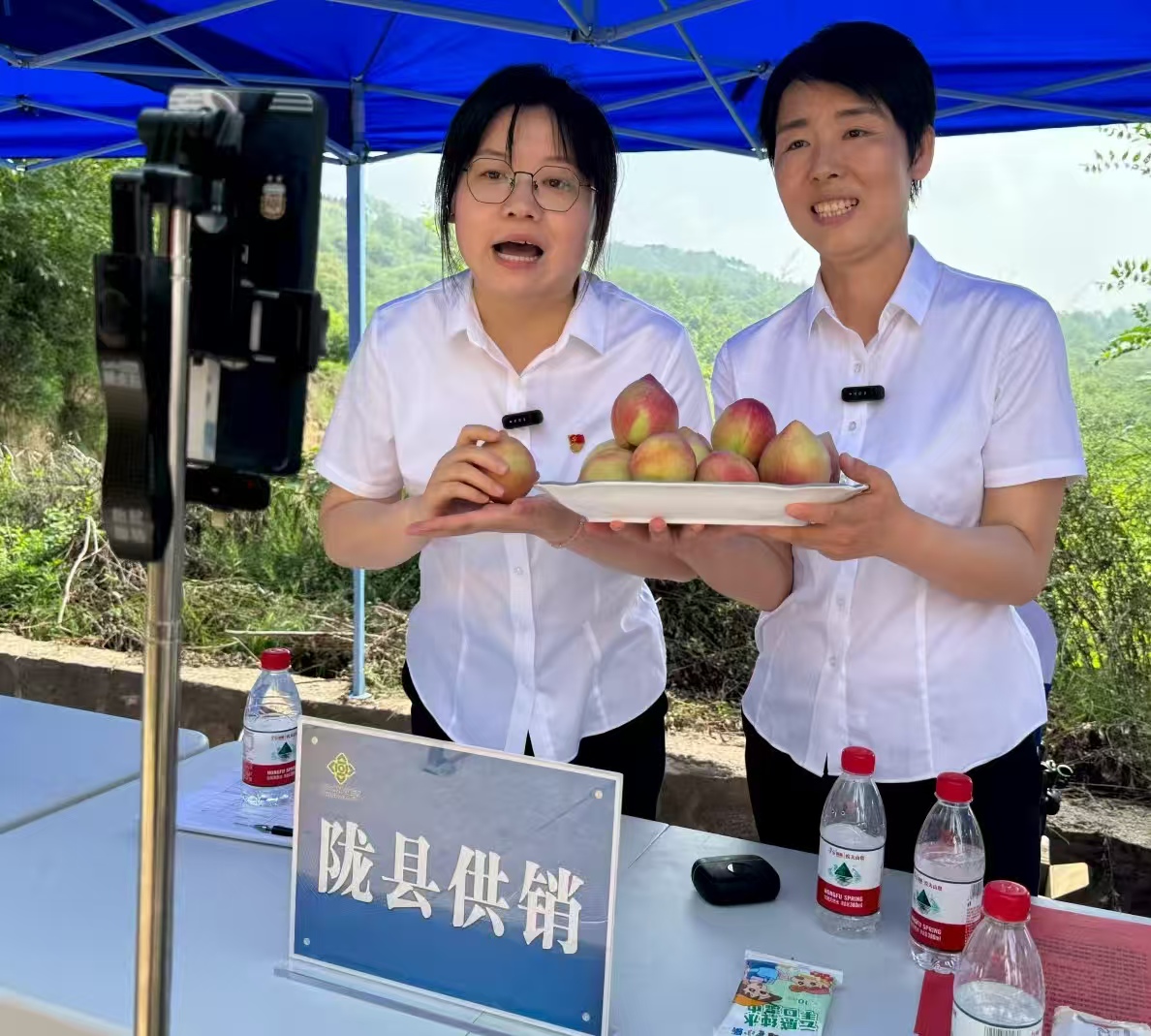 党建引领直播助农 陕西陇县油桃热销促增收