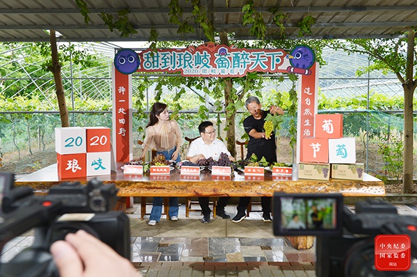流水镇：果香四溢直播忙 带货助农增收旺