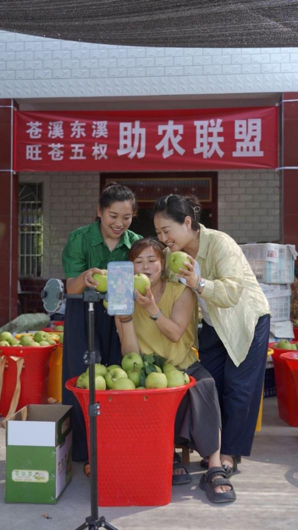“村主播”们上了“线”“云端”发展靠党建