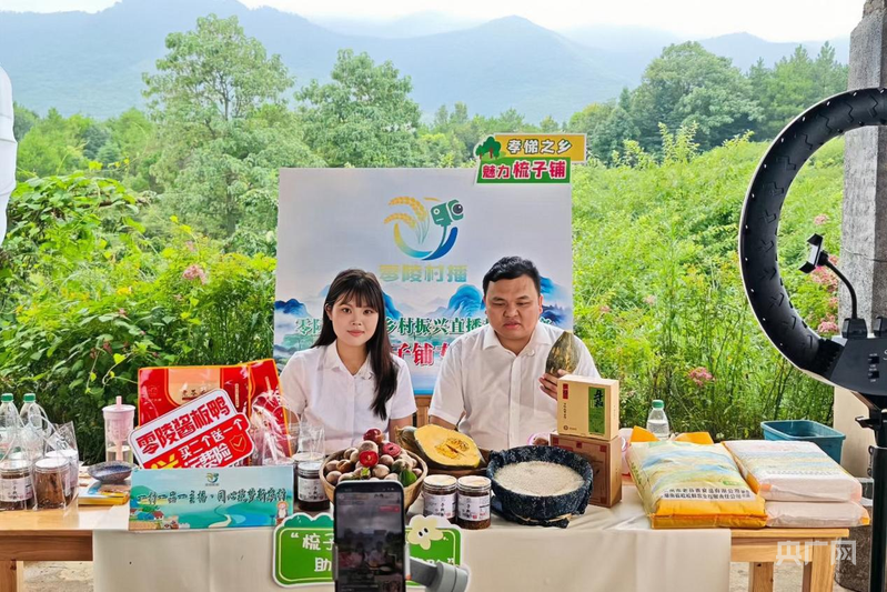 借力“直播翅膀” 湖南零陵土特产“飞”向全国