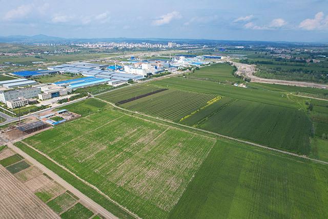 赤峰市林西县：三产融合的共富实践(图2)