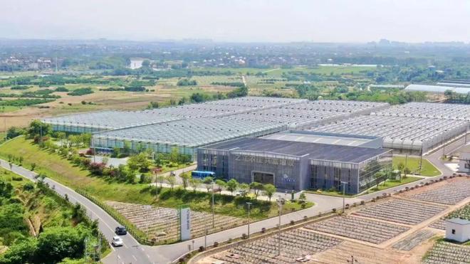 一条路N种玩法！跟着中央、省市媒体大咖沉浸式游衢江(图5)