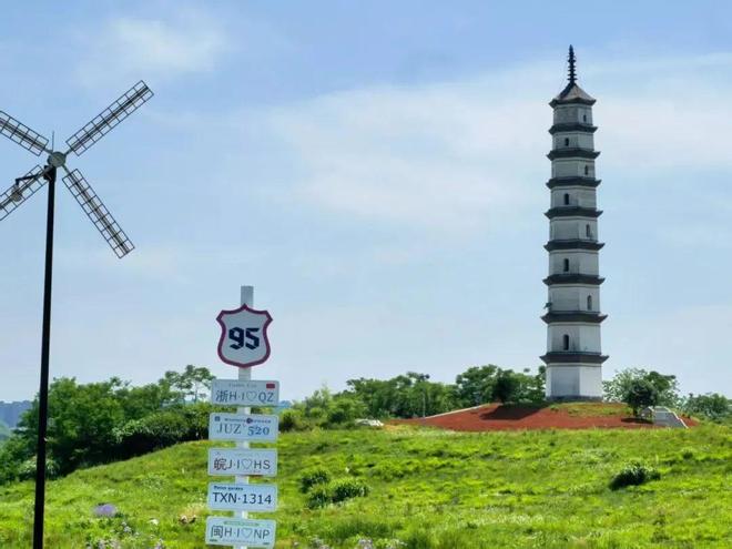 一条路N种玩法！跟着中央、省市媒体大咖沉浸式游衢江(图17)