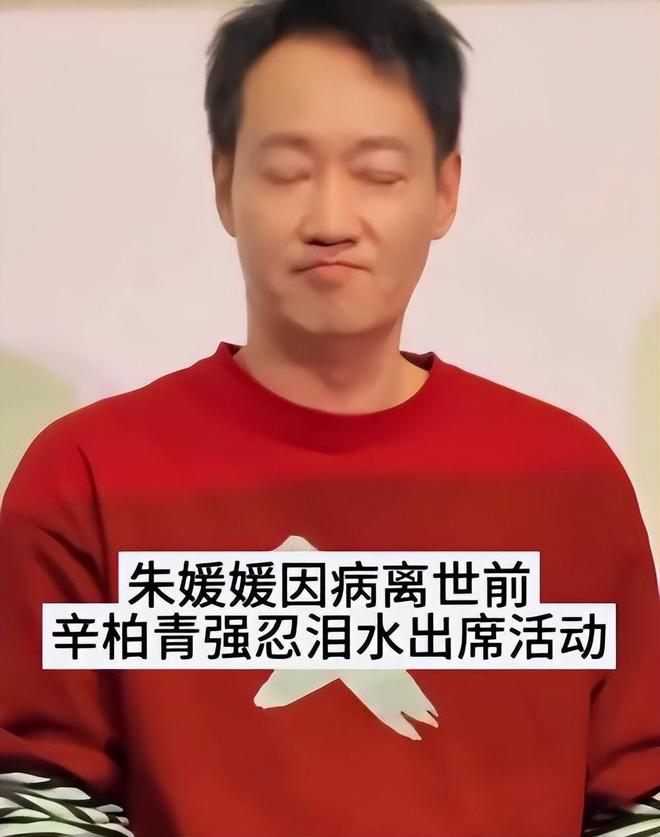 辛柏青沉默8天后担心的事情还是发生了网友评价太恶心(图12)