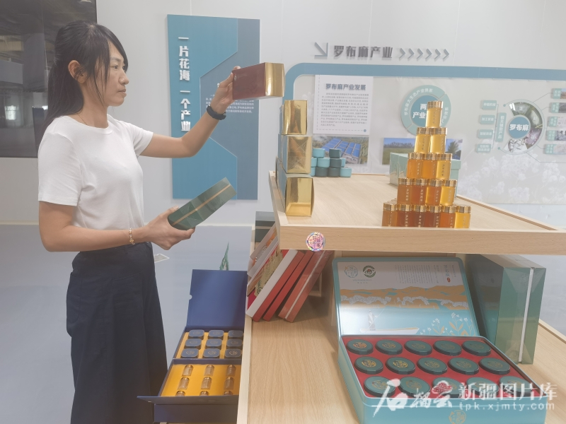 戈壁野草变身“黄金纤维”——尉犁县罗布麻“链”成富民增绿大产业(图2)