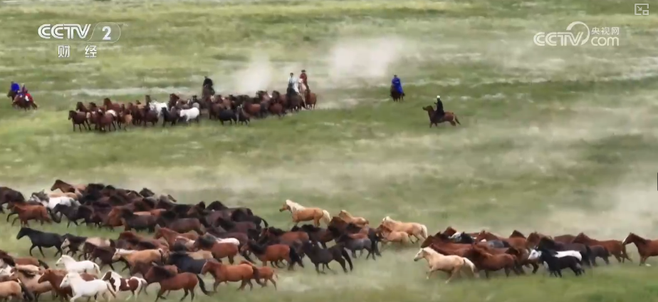 特色文旅标签再上“新” 经典IP“链”接新场景撬动暑期消费新热力(图4)