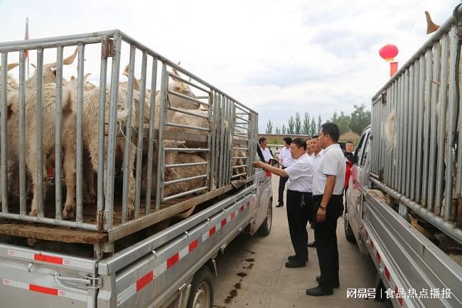 宁夏有梦青年电商：以谷开元滩羊品牌书写乡村振兴新篇章(图3)