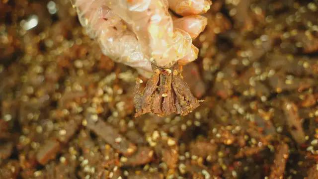 草原直播秀让传统特产打入年轻人零食柜(图2)