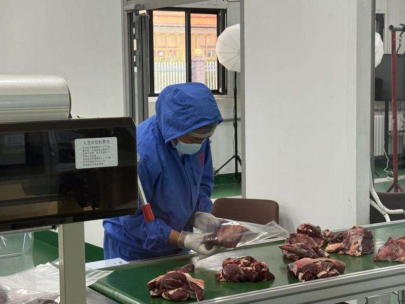 活力中国调研行 青海特色农牧业走出“链”上增值路(图3)