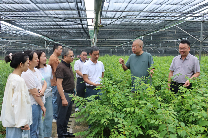 柳州市举行2025年“智汇基层 产智融合”乡村振兴专家服务团活动(图1)