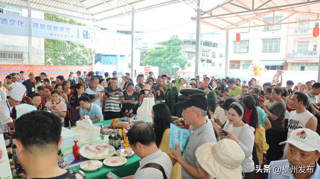 横州市峦城镇：第六届峦城鱼生美食文化节盛大启幕(图10)