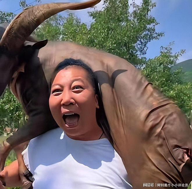 国务院点名封杀！这几位坑蒙老百姓的网红直播带货路彻底堵死(图2)