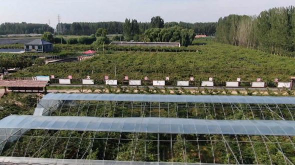 从“愁卖”到“爆单”莒县政府直播平台助企拓销路(图2)