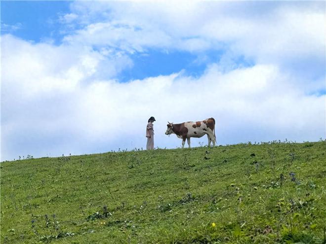 天水甘谷：古坡草原文旅农康融合发展激活乡村旅游新活力(图1)