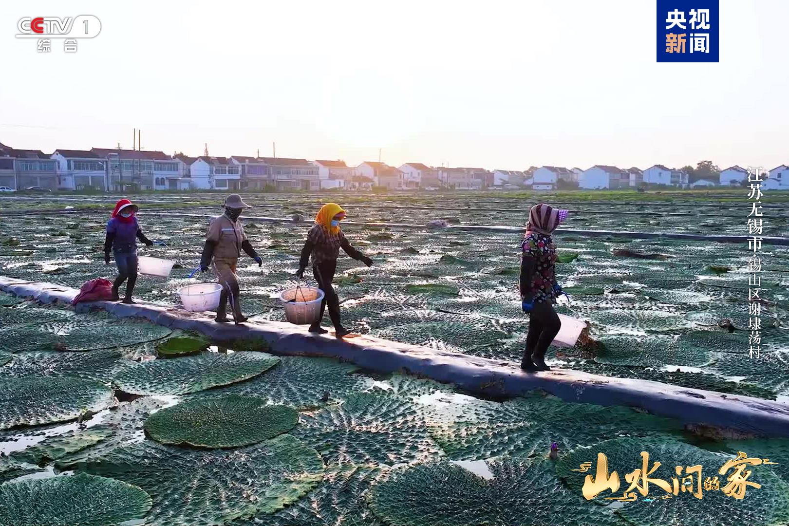 《山水间的家》新一季治愈回归与您共赴山海新程(图3)