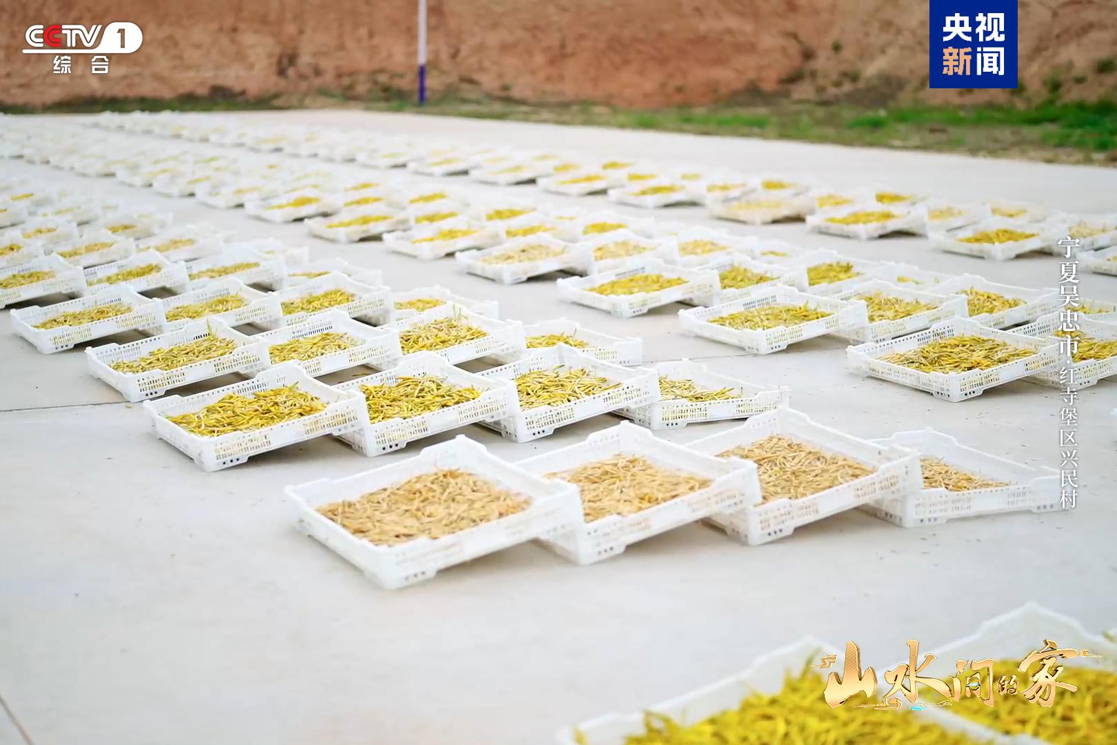 《山水间的家》新一季治愈回归与您共赴山海新程(图6)