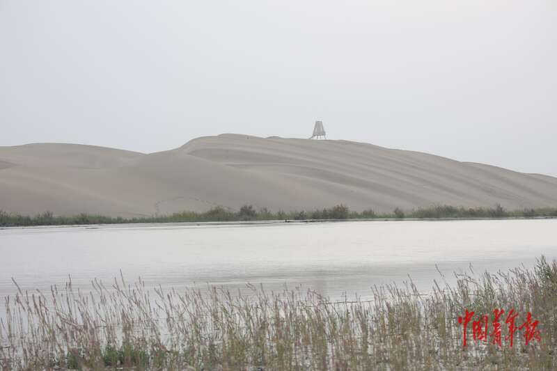 新疆尉犁：这里有风情更有奋斗(图14)