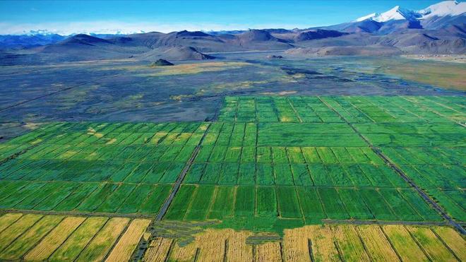 60年看浪卡子牧旅腾飞(图4)