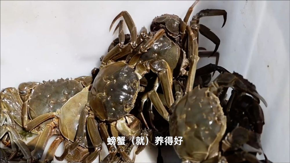 新华视点｜“小特产”撬动“大产业”：特色产业激活经济新动能(图5)