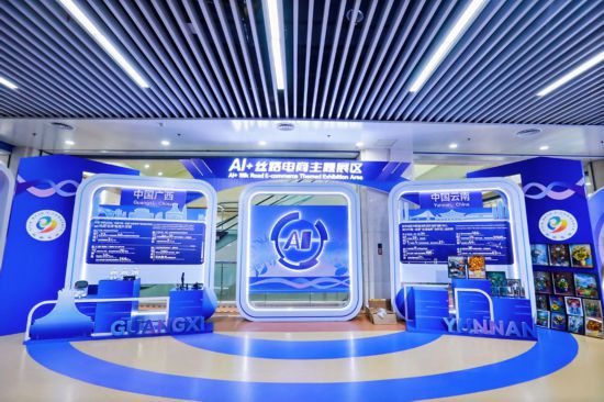 2025年中国—东盟丝路电商开放合作主题推介活动成功举办(图2)