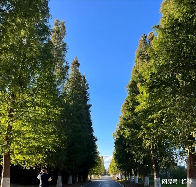 中国10大宜居城市排行榜假如退休后选择一城终老你会选哪里？(图10)