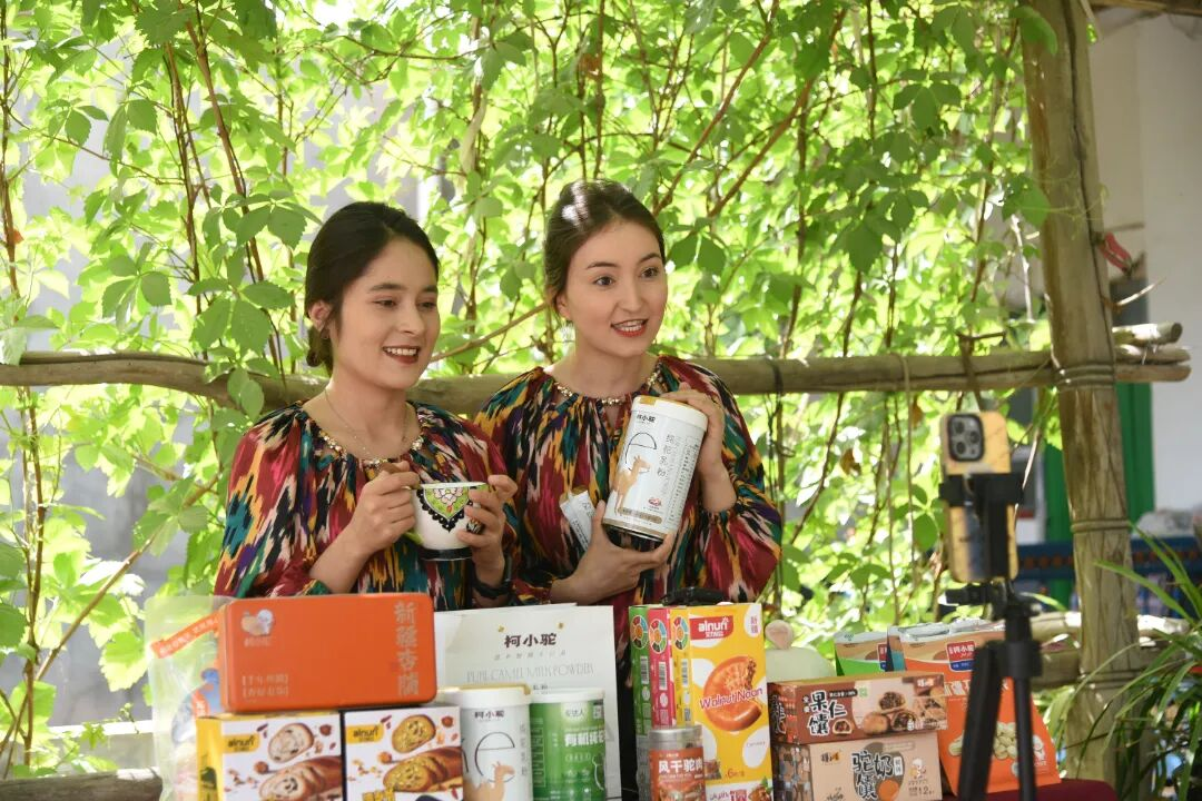 推动柯坪骆驼产业高质量发展 以产业“小切口”推动县域“大发展”(图5)