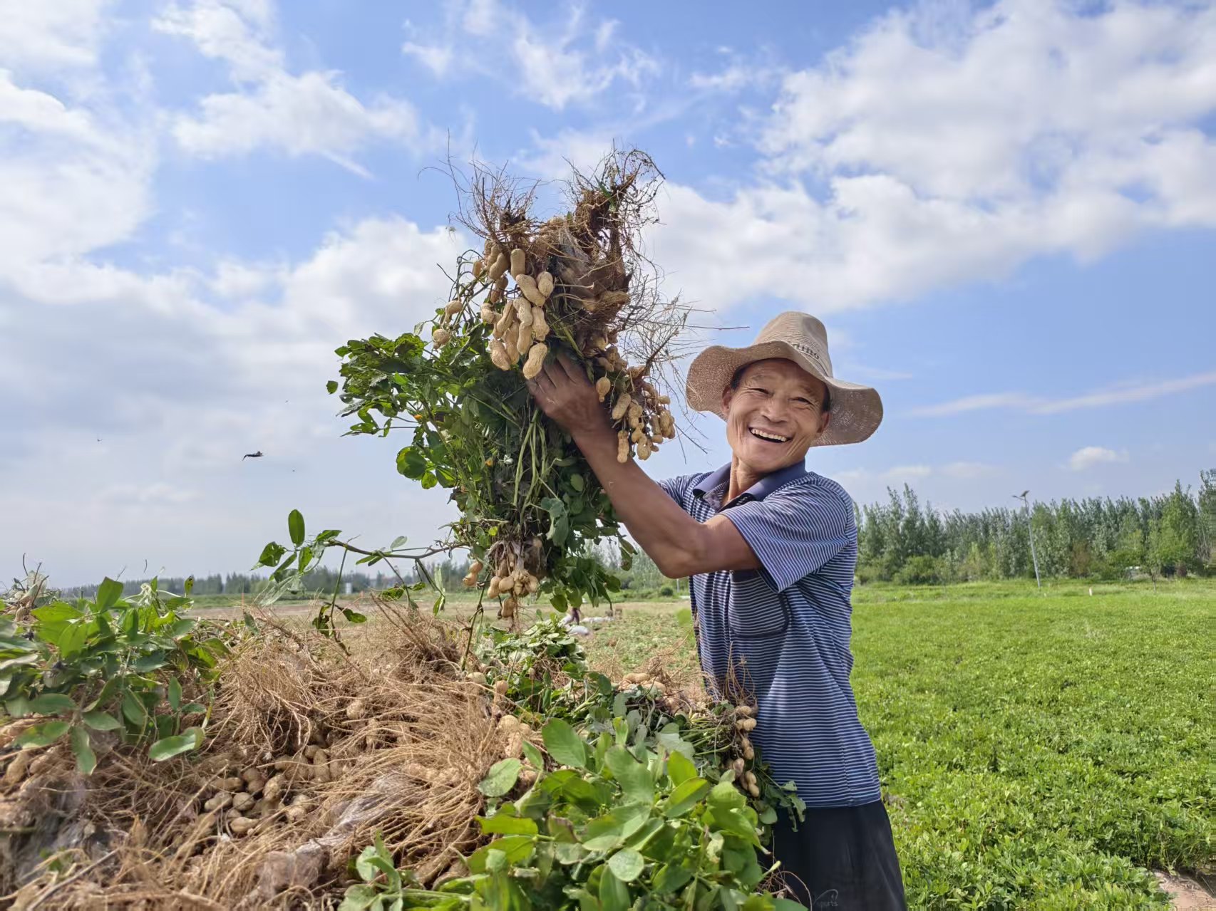 田埂上舒展“丰收画卷”(图2)