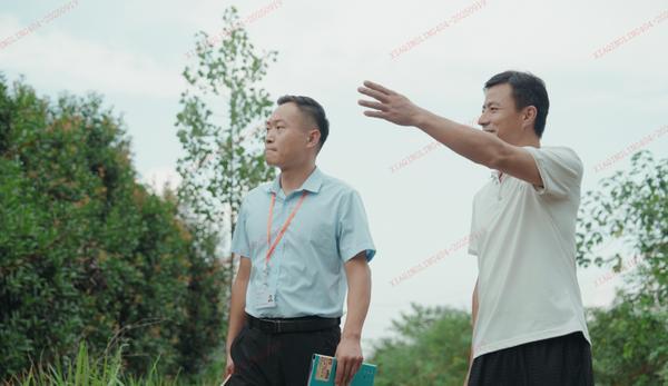 直播带货打开新销路平安融易普惠金融助农增收(图3)