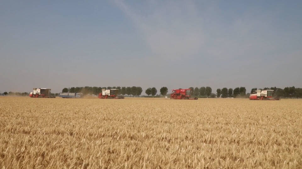 灼言 丰收不止于粮满仓(图1)