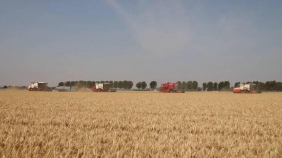 丰收不止于粮满仓(图1)