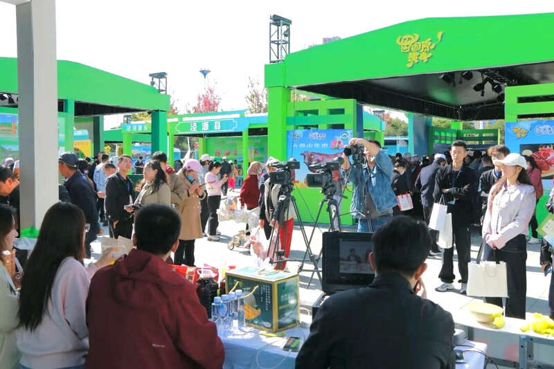 宁夏固原共青团线上展示销售农民丰收成果(图1)