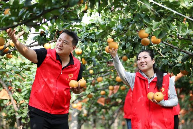 淮北市杜集区矿山集街道：人大代表破局 农产品从“愁卖” 到“热销”(图1)