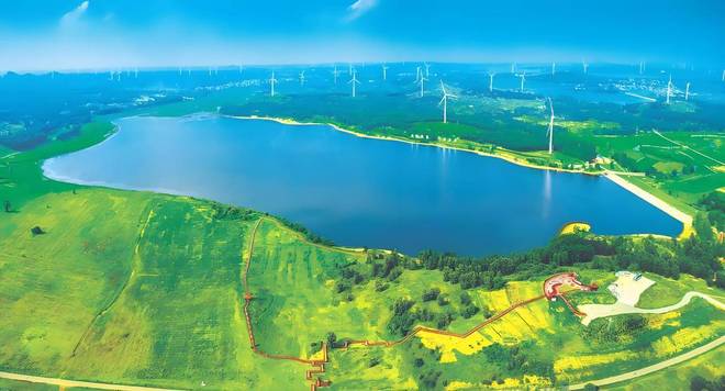 彰武地瓜品牌价值达1601亿元 特色农产品金字招牌成色更足(图11)