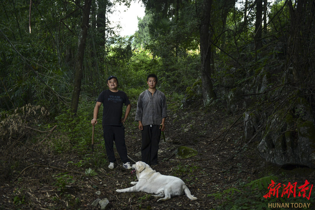 小县大梦 云端起飞——中国光大集团帮扶古丈县“数商兴农”侧记(图3)