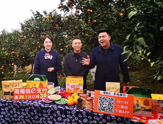 河底镇：村支书直播带货 助粉条成“金条”(图1)