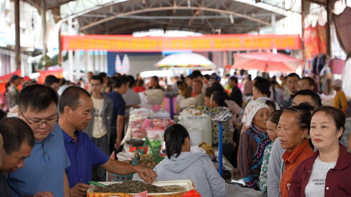 巴马开展“党旗引领 农市大集”活动(图1)