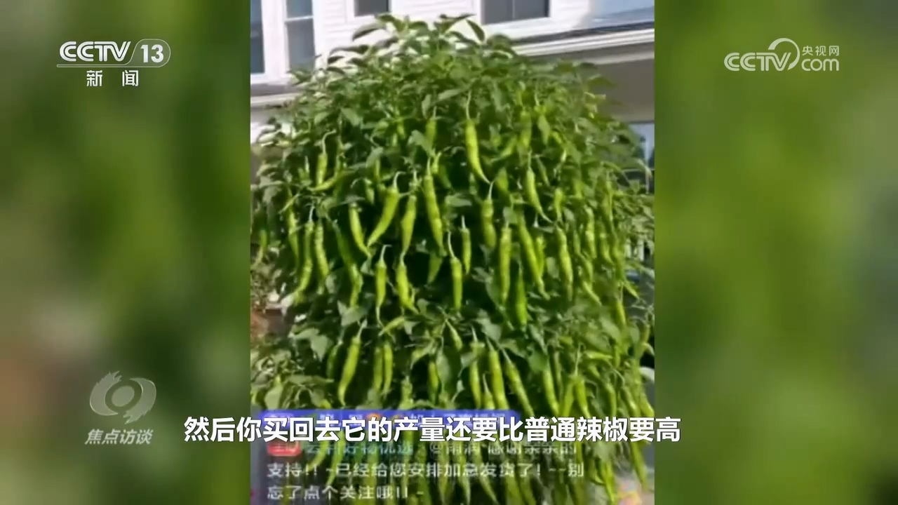 焦点访谈｜真假难辨 警惕AI带货“李鬼”！