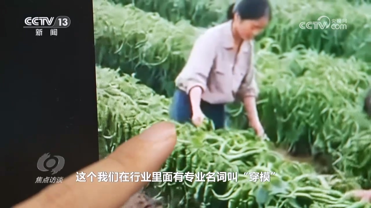 焦点访谈｜真假难辨 警惕AI带货“李鬼”！(图3)