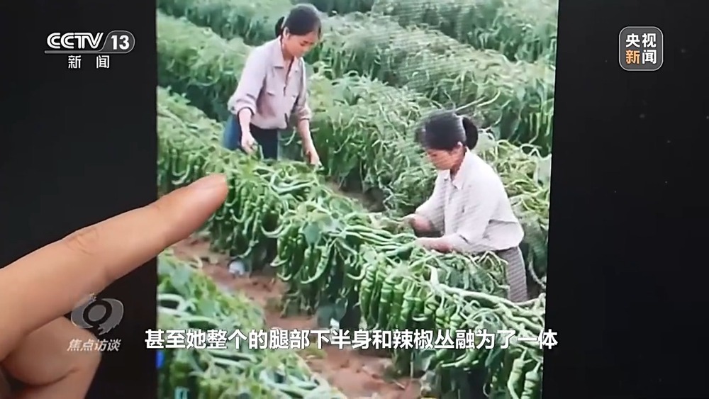 焦点访谈丨你刷到的奥运冠军代言可能是假的！起底AI仿冒带货新骗局(图4)