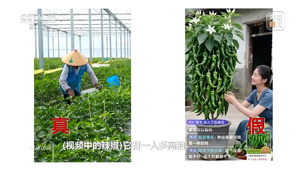 焦点访谈丨你刷到的奥运冠军代言可能是假的！起底AI仿冒带货新骗局(图6)