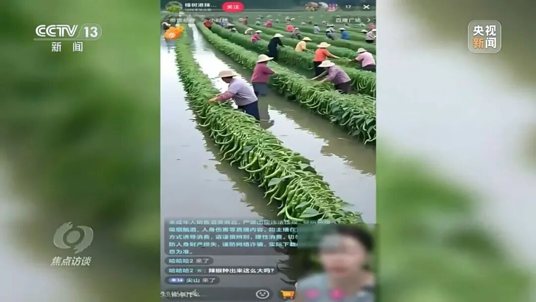 央视曝光！主播直播间用AI仿冒岳阳辣椒带货(图4)