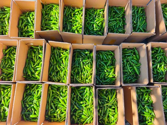 兔街镇：网络直播让优质“山货”直通“云端”(图1)