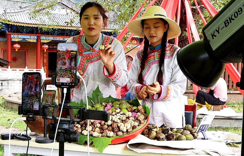 “一颗核桃”如何破“壳”成“链”？(图1)