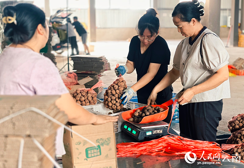 “一颗核桃”如何破“壳”成“链”？(图2)