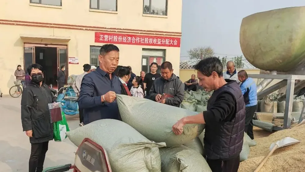 “农”墨重彩促振兴 津沽大地绘新卷(图6)