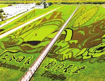 “农”墨重彩促振兴 津沽大地绘新卷(图1)