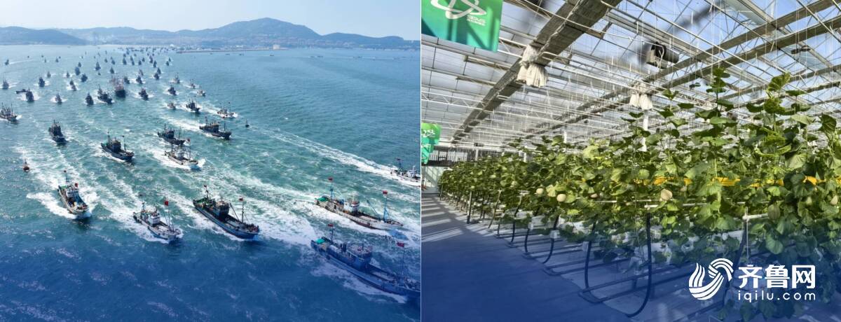 购在中国·2025山东金秋消费季｜促进产销精准对接、推动农产品上行！山东多举措拓展农产品消费新空间(图5)