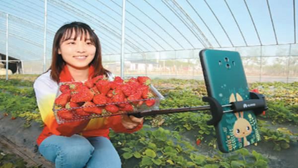 直播带货卖全球 帮助农产品脱贫增收(图3)